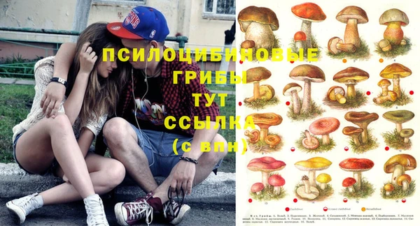 не бодяженный Абдулино